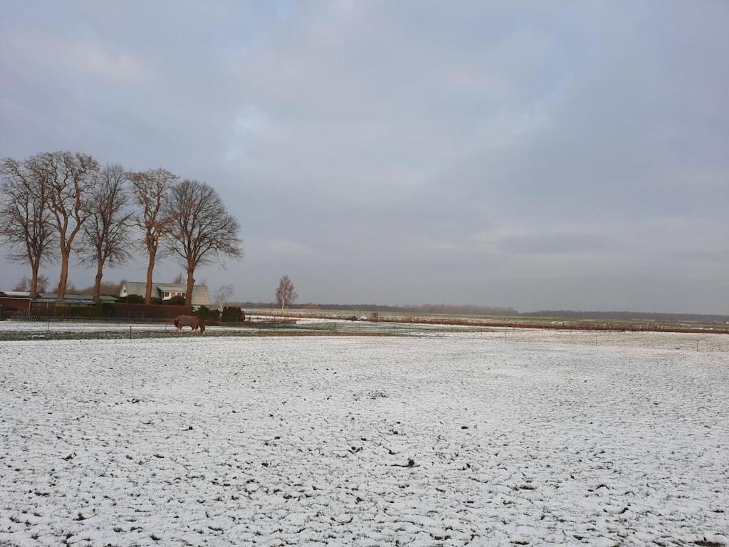 Apartment On The Island Of Poel Exteriör bild